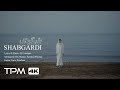 Barzin Shabgardi Music Video موزیک ویدیو آهنگ شبگردی از برزین 