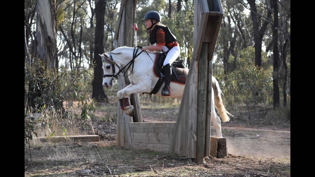 Maryborough Pony Club Horse Trials YouTube
