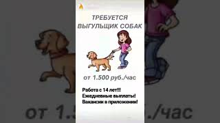 Инстаблогеры (instasamka)