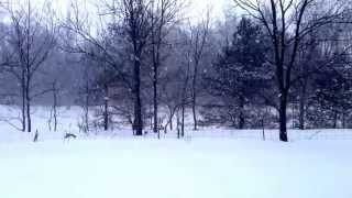 Another Snow Day. Only 30 days until Spring. Only 30 Days Until Spring