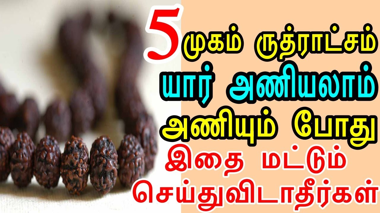 5 முகம் ருத்ராட்சம் யார் அணியலாம் அணியும் போது  இதை மட்டும் செய்துவிடாதீர்கள் | Sattaimuni Nathar
