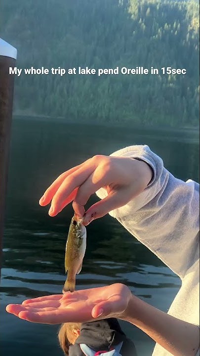 Lake pend oreille fishing report 2022