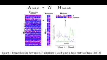 Efficacy of Non-negative Matrix Factorization for Feature Selection in Cancer Data
