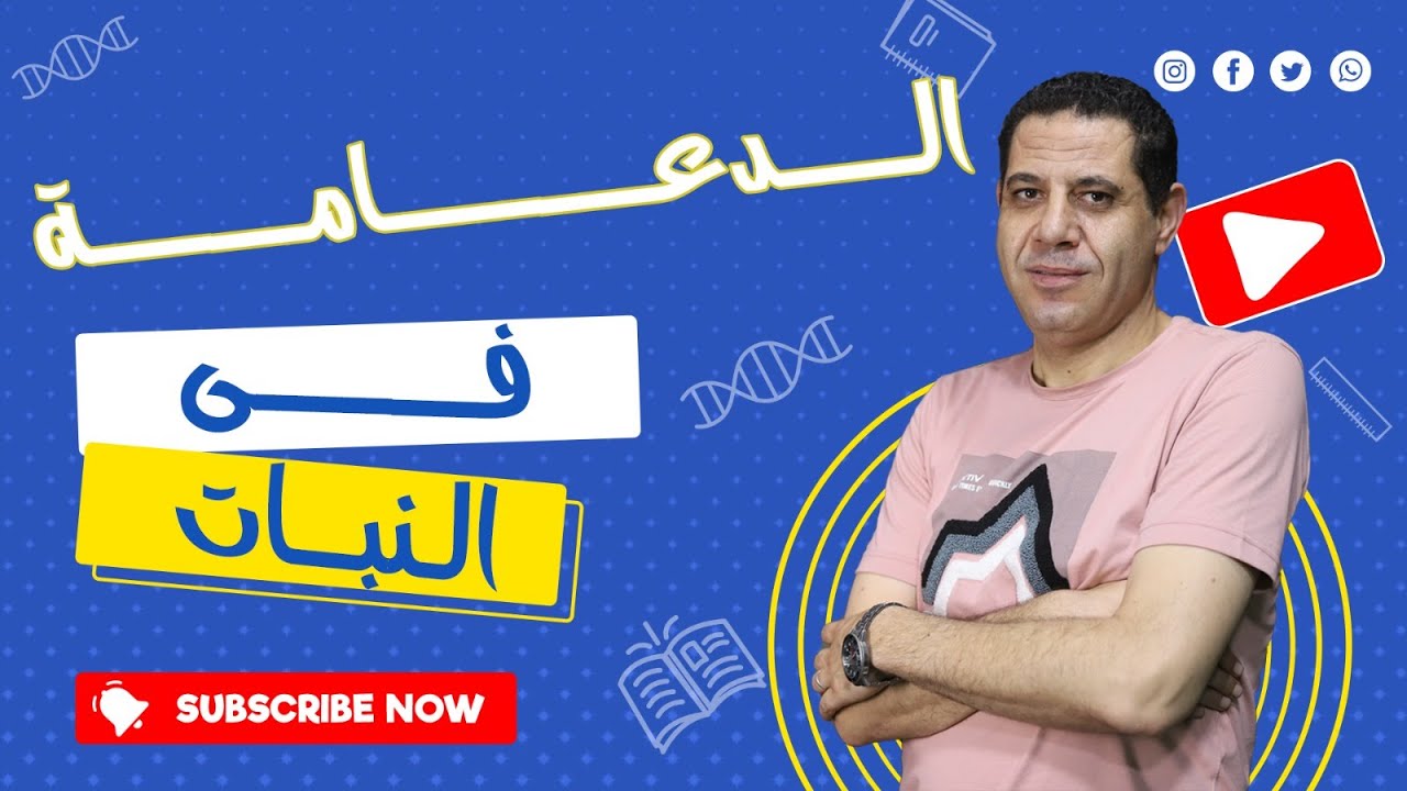 الاختبار الاول الدعامة فى النبات | حل وتفسير تدريبات المرجع 2024 | احياء ثانوية عامة | د. محمد نايل
