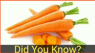 Did You Know Interesting Facts Mind Blowing