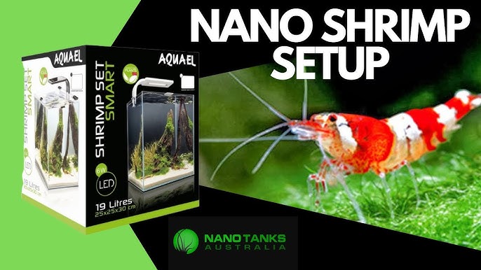 Aquarium Aquael Shrimp Set 30 Day & Night - Materiel-aquatique