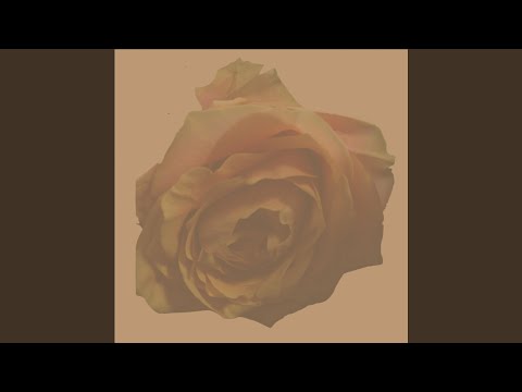 [M] , I'm Sorry