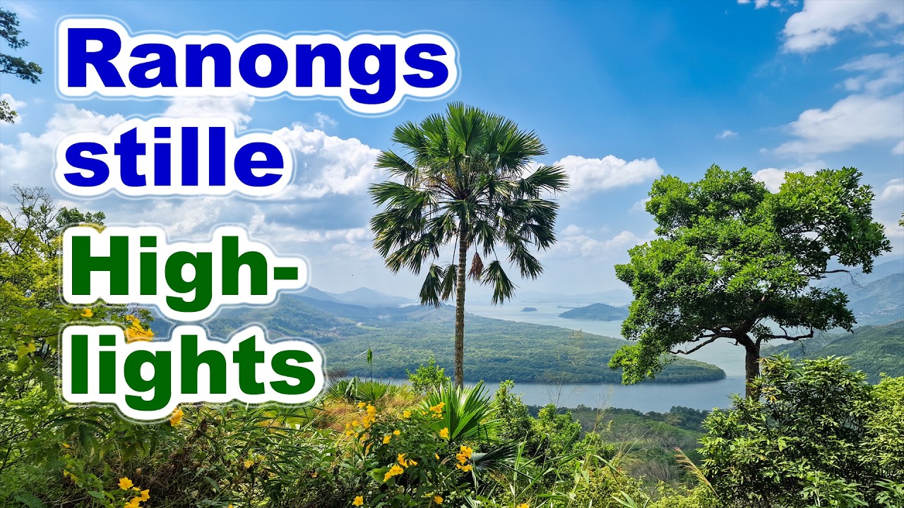 Ranong Highlights: View Point Khao Fa Chi & Mangroven am Kra Buri