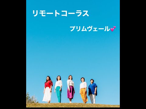 リモートコーラス　マリーゴールド