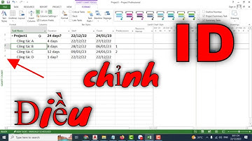 Điều chỉnh số thứ tự cột ID trong MS Project