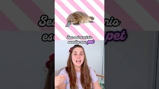 seu MÊS é seu PET #shorts