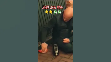 هكذا يفعل الق مار 