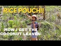 FILIPINA CLIMED A COCONUT TREE for RICE POUCH!
