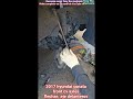 2017 hyundai sonata front cv axles,#flechas #cvaxle #hyundai #diy #fyp #shorts #automobile #suscribe