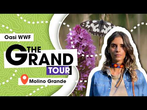 Molino Grande e la presenza del lupo