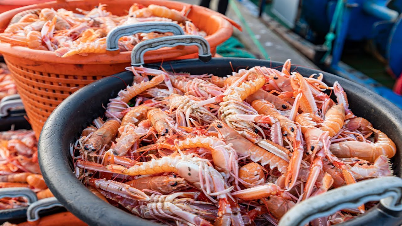 Anholt havn - det er her det sker - spis godt og hent friske fisk og jomfruhummer til gode priser