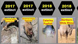 Last Extinct Animals from 0000 to 2025 | 50 Animals Lost Forever in History!