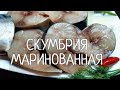 Скумбрия маринованная СУПЕР !!! В таком маринаде скумбрия вкуснее  красной рыбы. Простейший рецепт.