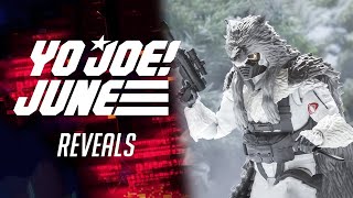 Hasbro Pulse | Yo Joe June Reveals | Week 3 HasbroPulse YoJoeJune