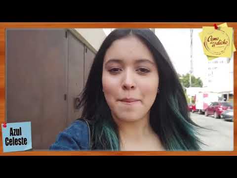 Como Dice el Dicho 2019 - Ana Celeste / entrevista - YouTube