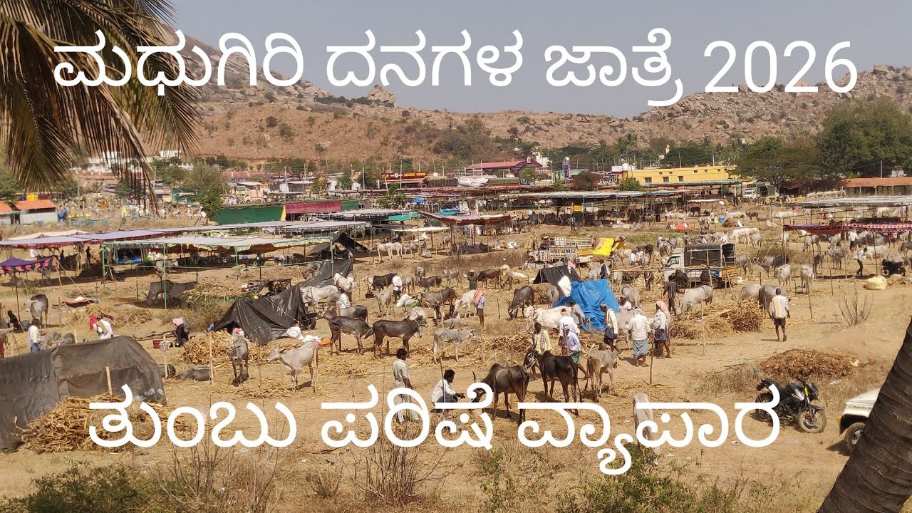 ಮಧುಗಿರಿ ದನಗಳ ಜಾತ್ರೆ - ತುಂಬು ಪರಿಷೆ ವ್ಯಾಪಾರ