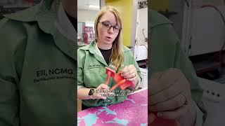 Chris Christensen Coral Slicker Brush - Why you need one