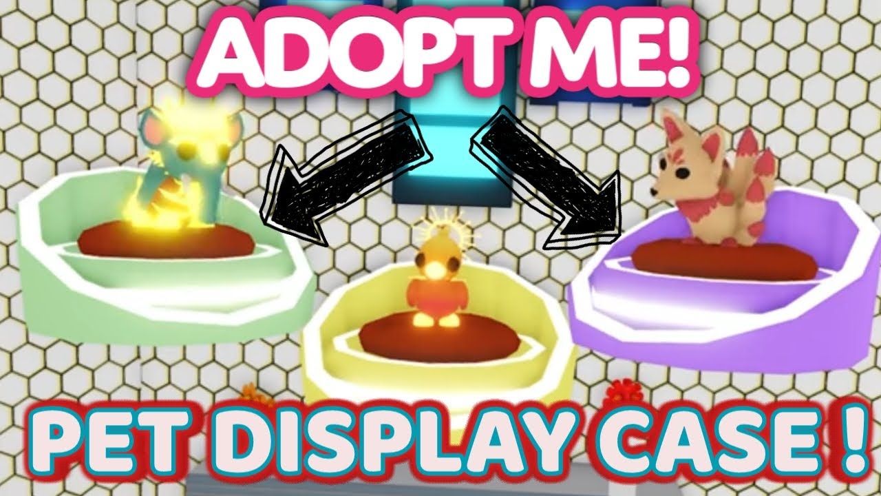 DISPLAY CASE ! Display your Pets in Adopt Me! YouTube