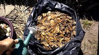 DIY/ Quick, simple and easy leaf composting...