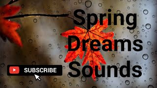 Spring Dream Sound~Background Music | No copy Right