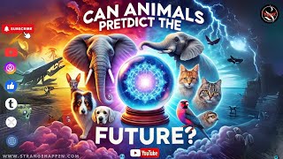 Famous Animals That Can Predict the Future: Mind-Blowing Natural Phenomena! Net Worth
