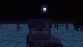 Mario invincible Song ( Minecraft Version )