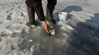 Закрыл сезон твёрдой воды 2025.