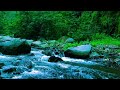 Deep Water White Noise Heavy River Stream for Sleep