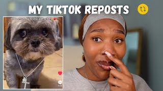 My Tiktok Reposts Explained Part 6