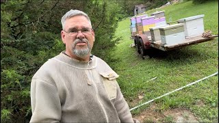 Kentucky Bees after the Rain - Hive Update