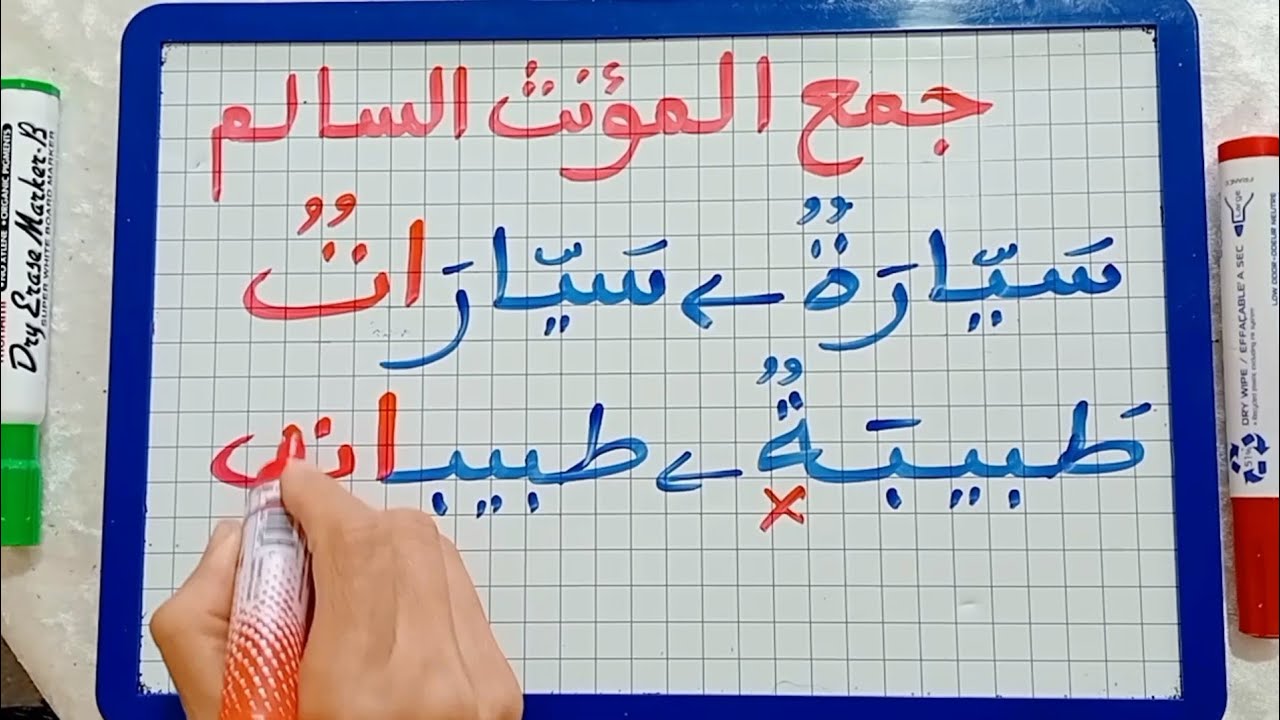 الدرس242:جمع المؤنث السالم(القواعد+الإعراب)/شرح مبسط جدا جدا جدا للمبتدئين