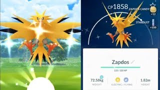 We Caught Shiny Zapdos Pokemon Go Zapdos Day Event