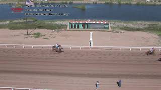 Wyoming Downs, Live Horse Racing, June 14, 2026