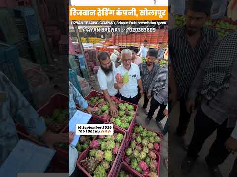 विक्रीसाठी संपर्क करा ☎️☝🏻☝🏻 #dragonfruit #food #beed