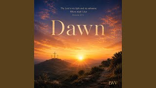 Dawn Begins