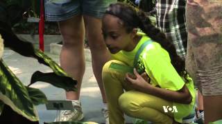 Interactive Program Teaches About Plants