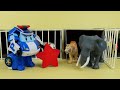 Aprender Formas | Corajoso Equipe de Regate | Salve os Animais | Robocar POLI TV Português