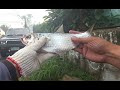 TARPON UNLOCKED | FINALLY AFTER 20+ FAILED ATTEMPTS