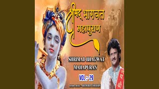 Shrimad Bhagwat Mahapuran Vol 29