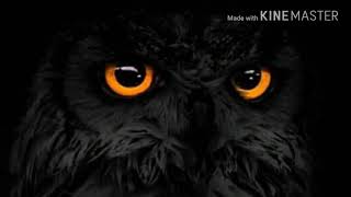 اغنيه  حزينه #هندسه الصوتيه علي سلفستر #لاتنسوا لايك وشتراك #انتضرونا بفلاوكات @بل فديوهات الجديده😘 screenshot 5