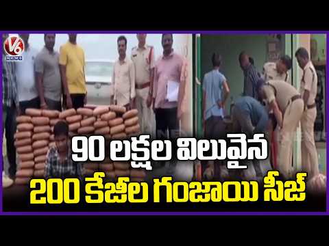 Police Seized 900 kg Ganja Worth 90 lakhs In Sathupally | Khammam | V6 News - V6NEWSTELUGU