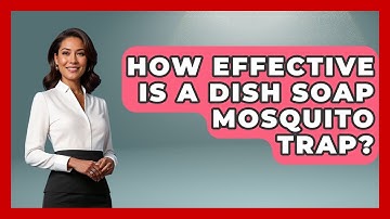 How Effective Is A Dish Soap Mosquito Trap? - Insects and Invaders