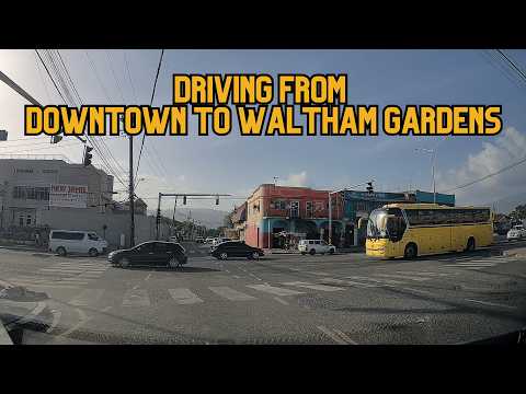 Drive With Me To WALTHAM GARDENS From Downtown KINGSTON | 876 By Birth