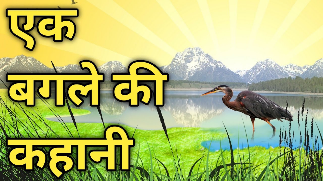 एक चालाक बगले की कहानी | एक बगले की चालाकी हिंदी कहानी | Best Motivational Hindi Story.