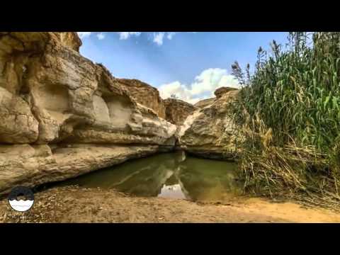 Экскурсии в Израиле в пустыню Негев